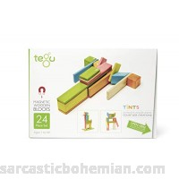 24 Piece Tegu Magnetic Wooden Block Set Tints 24 Piece sets B00FZE7WOI